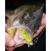 Fox Rage Bulk Loaded Zander Pro Shads UV Lemon Tiger 10cm 4/0 10gr Plastični Mamac
