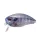 OSP Buzzn Crank 5cm 10gr Rpo45 Real Blue Gill Wobbler