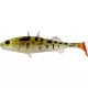 WESTIN Stanley the Stickleback Shadtail 7,5cm 4g - Pearl Stickleback 6kom/pak Plastična varalica