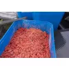Preston 6Pt Bait Tub Kutija za mamce