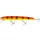 WESTIN Jätte Crankbait 17cm 47g Plutajući Oprezni Tigar Vobler
