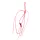 Sakura - Hooks BOTTOM ASSIST HOOK #L - 40g > 60g - Offset udica za varaličarenje - Udica - Bodljikava udica, Udica s okom