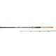 Mikado Excellence Goliat 50-160gr 2,55m 2-dijelni Štap za varaličarenje soma