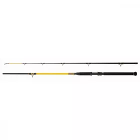   WFT Never Crack Bank Boat 3,20m 250-1000gr 2-dijelni štap za soma